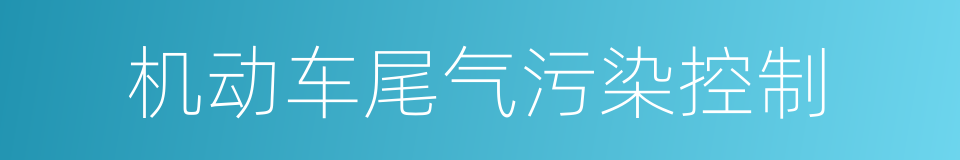 机动车尾气污染控制的同义词