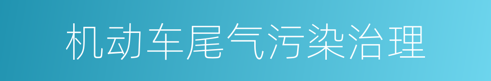 机动车尾气污染治理的同义词