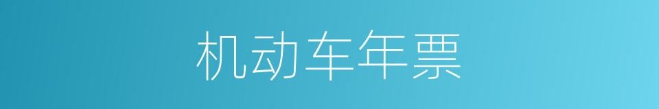 机动车年票的同义词