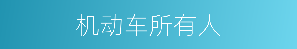 机动车所有人的同义词