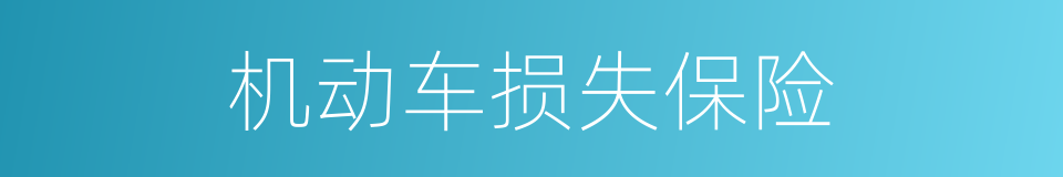 机动车损失保险的同义词