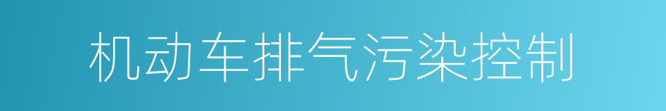 机动车排气污染控制的同义词