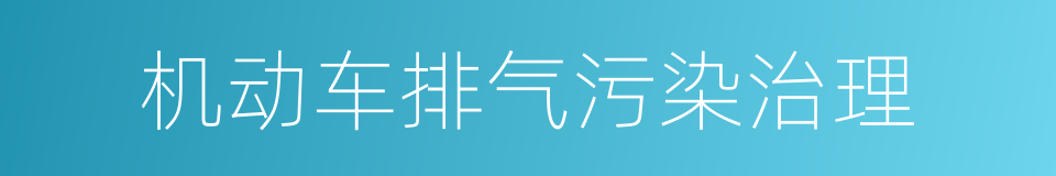 机动车排气污染治理的同义词