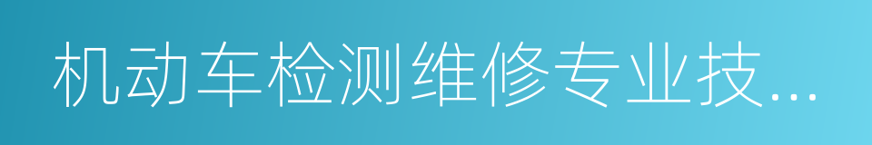 机动车检测维修专业技术人员的同义词