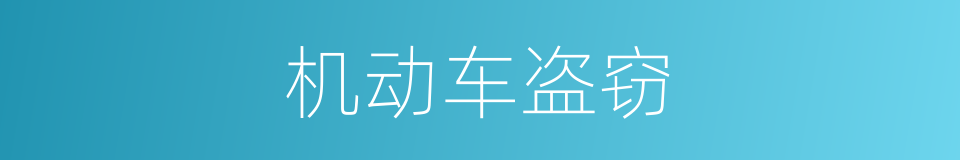 机动车盗窃的同义词