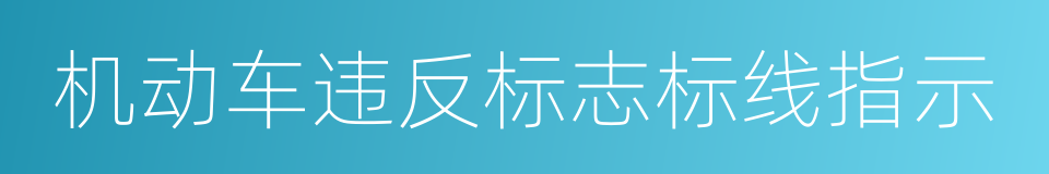 机动车违反标志标线指示的同义词