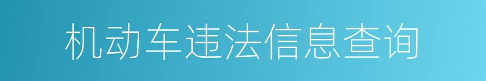 机动车违法信息查询的同义词