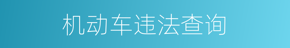 机动车违法查询的同义词