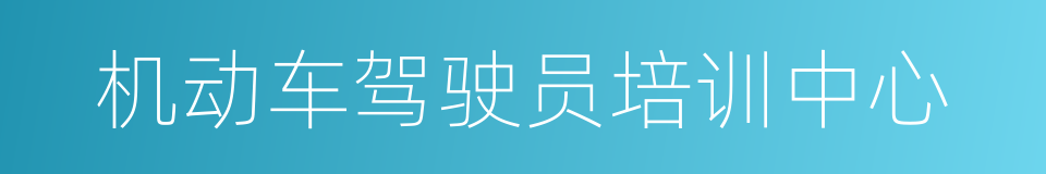 机动车驾驶员培训中心的同义词