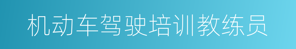 机动车驾驶培训教练员的同义词