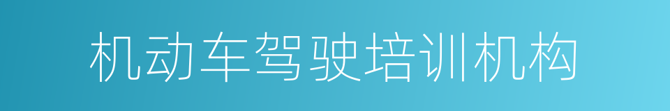 机动车驾驶培训机构的同义词