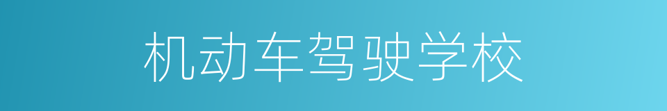 机动车驾驶学校的同义词