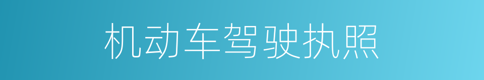 机动车驾驶执照的同义词