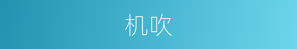 机吹的同义词