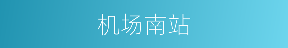 机场南站的同义词