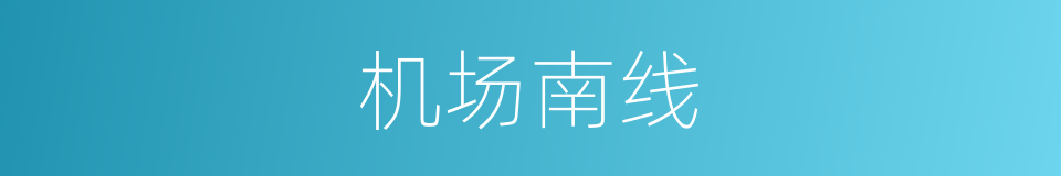 机场南线的同义词