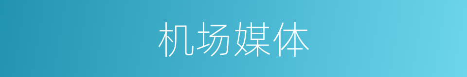 机场媒体的同义词