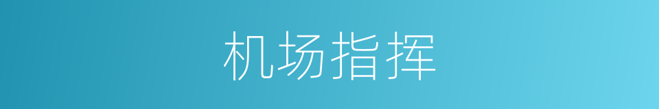 机场指挥的同义词