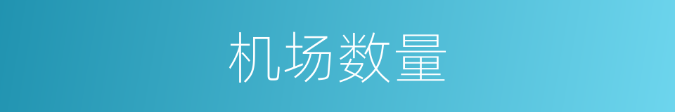 机场数量的同义词