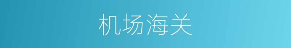 机场海关的同义词