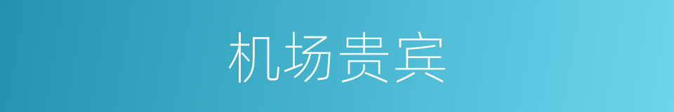 机场贵宾的同义词