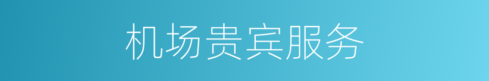 机场贵宾服务的同义词
