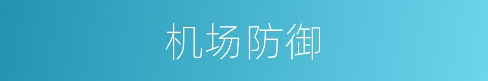 机场防御的同义词