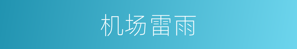 机场雷雨的同义词