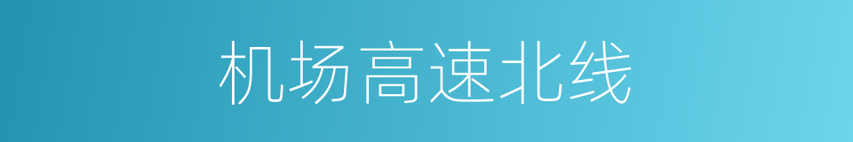 机场高速北线的同义词