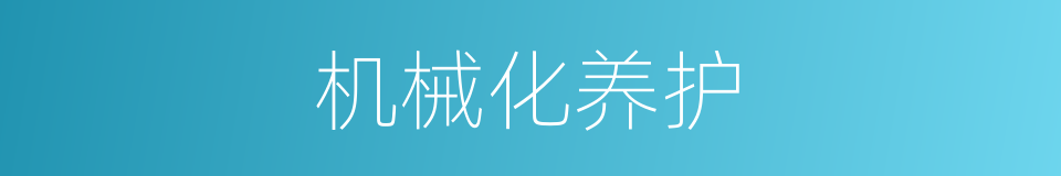 机械化养护的同义词