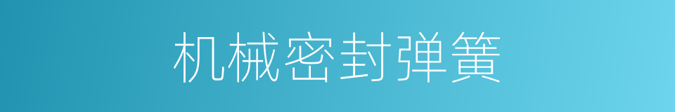 机械密封弹簧的同义词