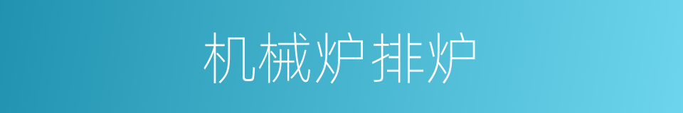 机械炉排炉的同义词