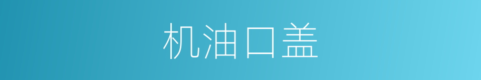 机油口盖的同义词