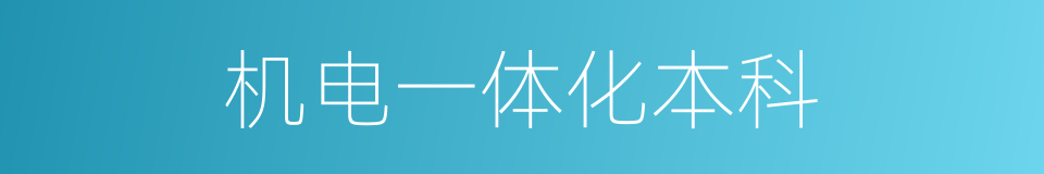 机电一体化本科的同义词
