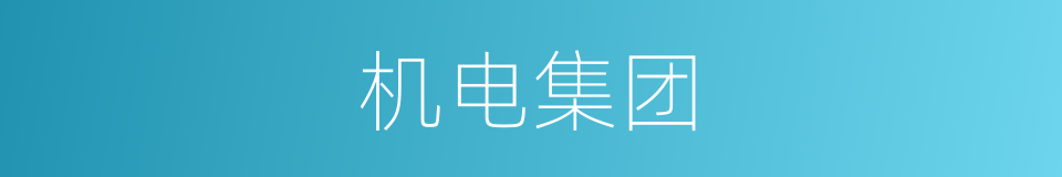 机电集团的同义词