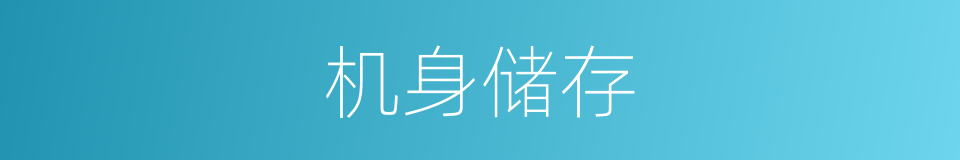 机身储存的同义词