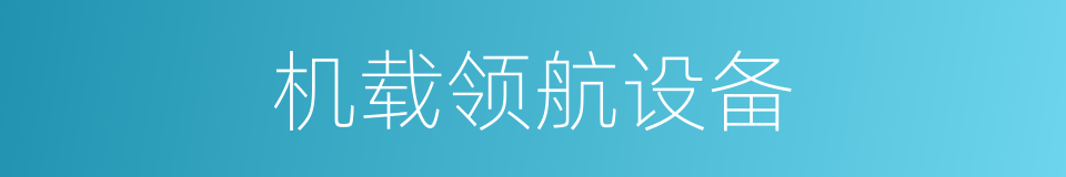 机载领航设备的同义词