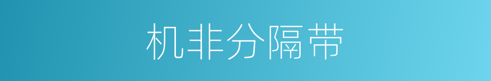 机非分隔带的同义词