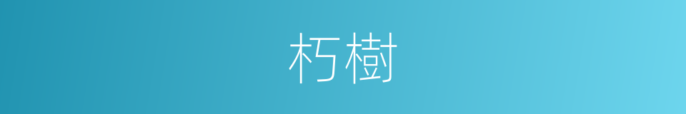 朽樹的意思