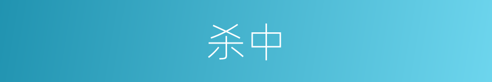 杀中的同义词