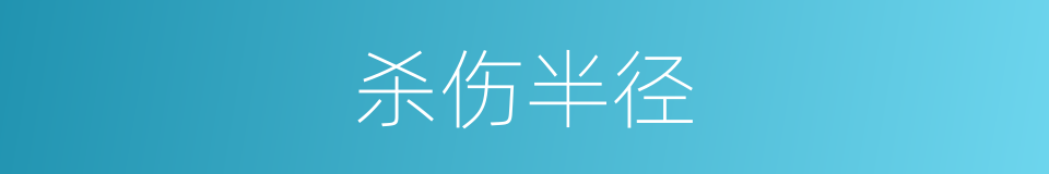 杀伤半径的意思