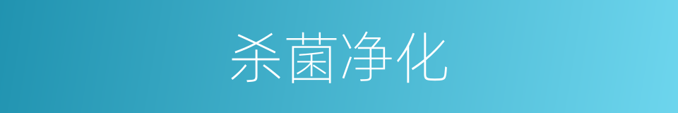 杀菌净化的同义词