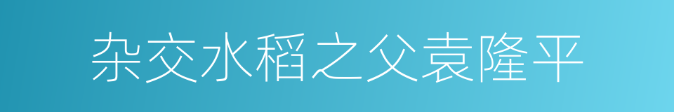 杂交水稻之父袁隆平的同义词