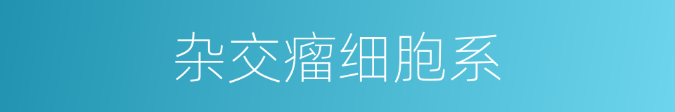 杂交瘤细胞系的同义词