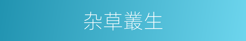 杂草叢生的同義詞