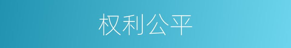 权利公平的同义词