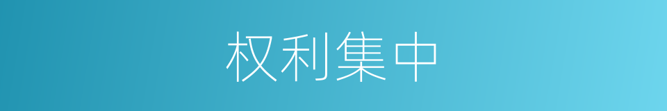 权利集中的同义词