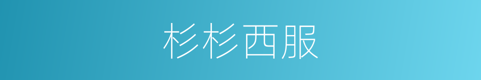 杉杉西服的同义词