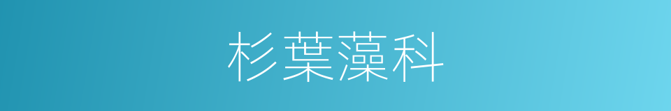 杉葉藻科的同義詞