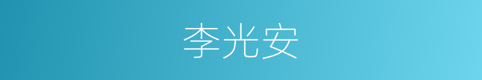 李光安的同义词